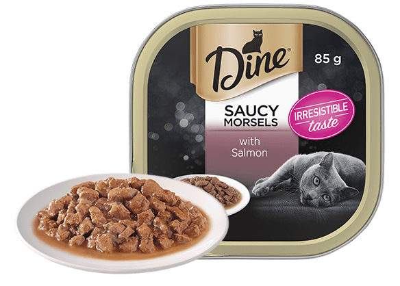 Wellness Sensitive Stomach Cat Food